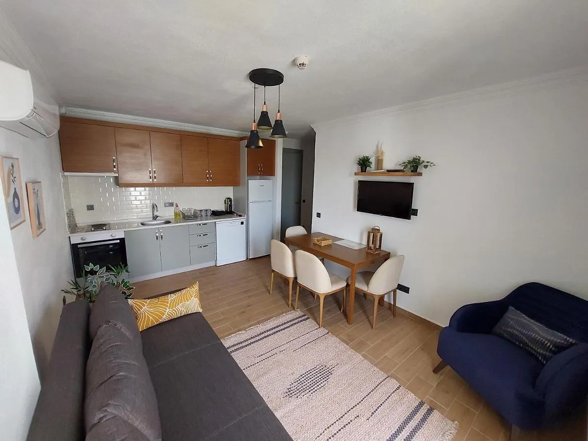 Duru Stone House Apartment Datca