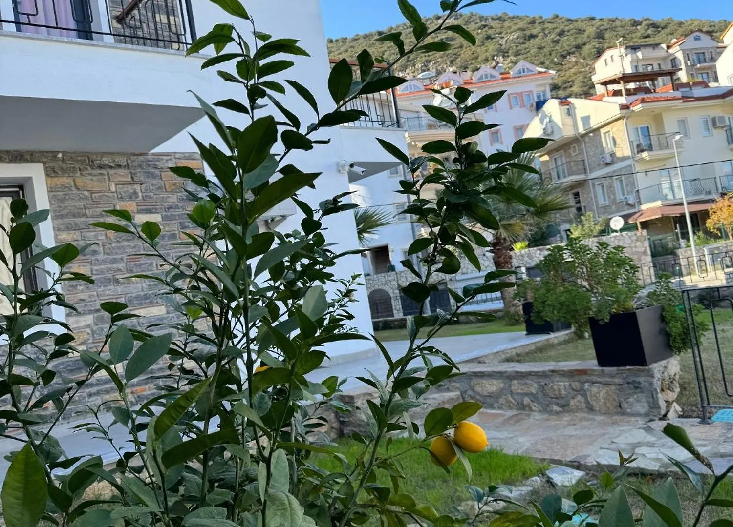 Duru Stone House Apartment Datca
